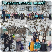 Покормите птиц зимой